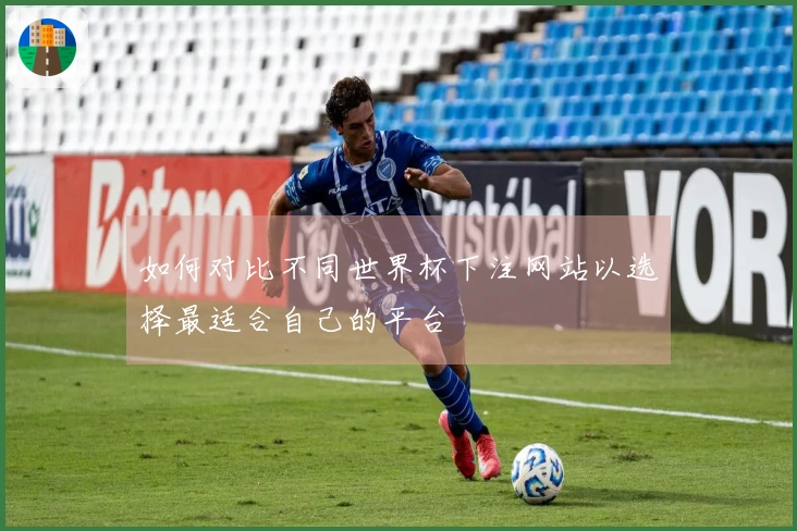 如何对比不同世界杯下注网站以选择最适合自己的平台
