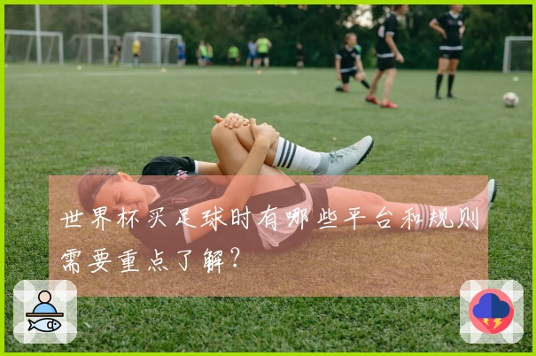 世界杯买足球时有哪些平台和规则需要重点了解？