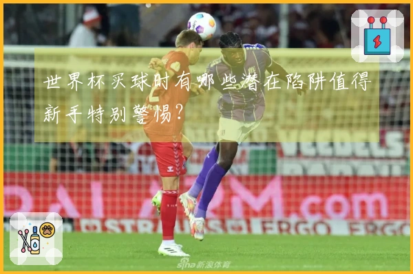 世界杯买球时有哪些潜在陷阱值得新手特别警惕？