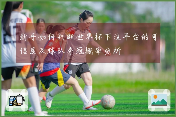 新手如何判断世界杯下注平台的可信度及球队夺冠概率分析