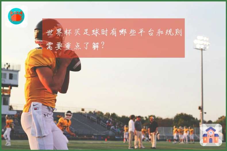 世界杯买足球时有哪些平台和规则需要重点了解？