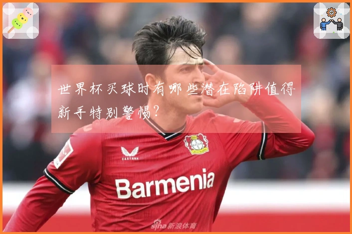 世界杯买球时有哪些潜在陷阱值得新手特别警惕？
