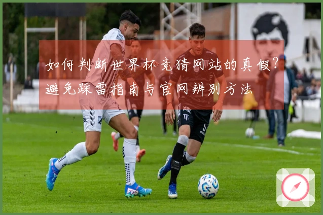 如何判断世界杯竞猜网站的真假？避免踩雷指南与官网辨别方法